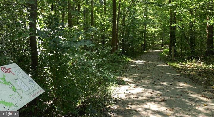 7033 Solomon Seal Ct Property Photo 44