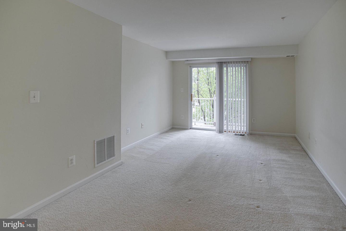 12442 Liberty Bridge Rd #302a Property Photo 14