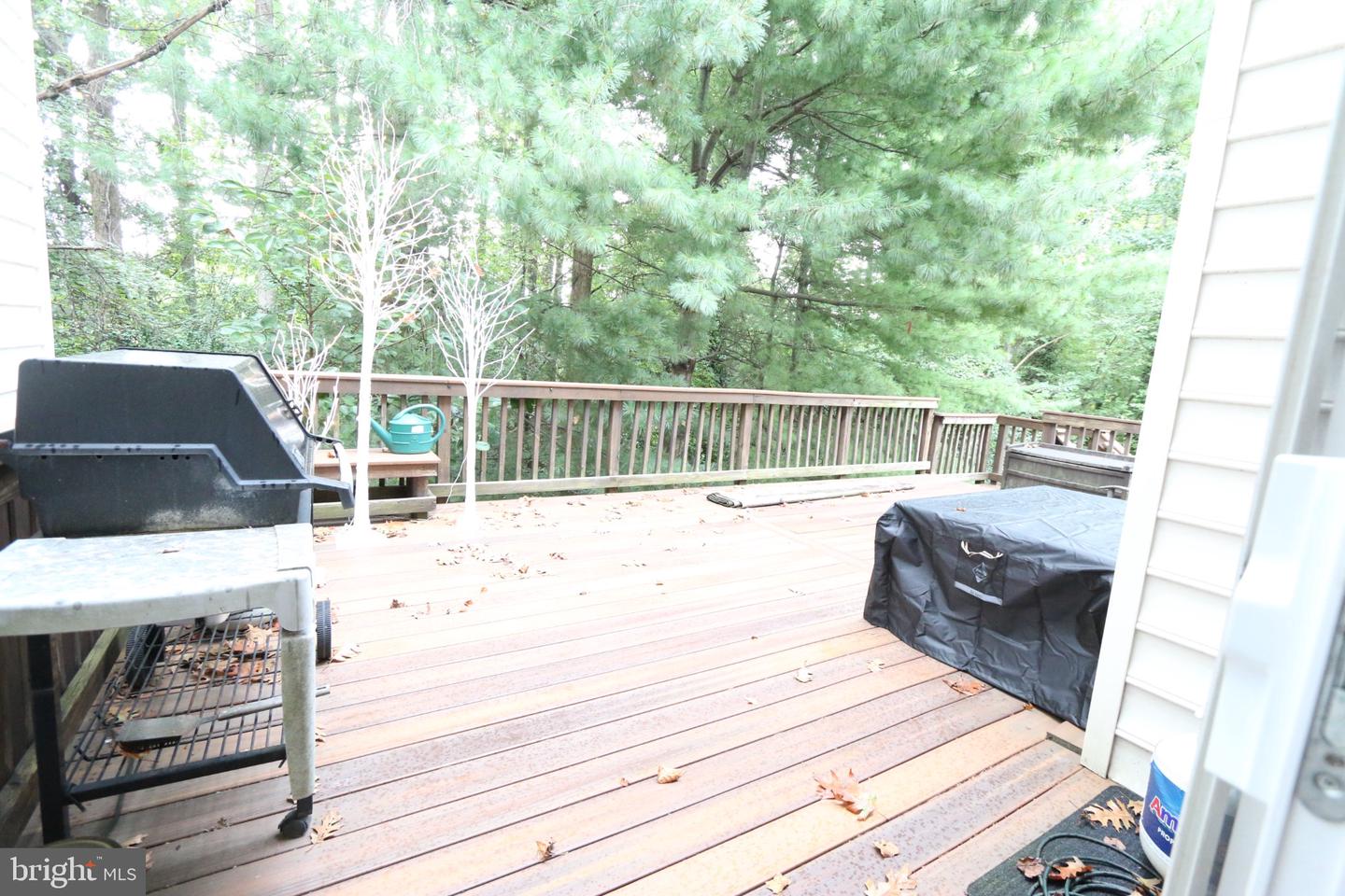 4469 Monmouth St Property Photo 11