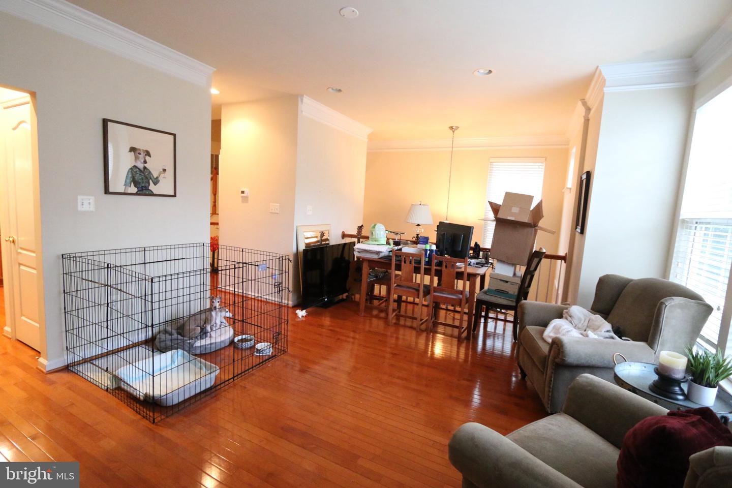 4469 Monmouth St Property Photo 14
