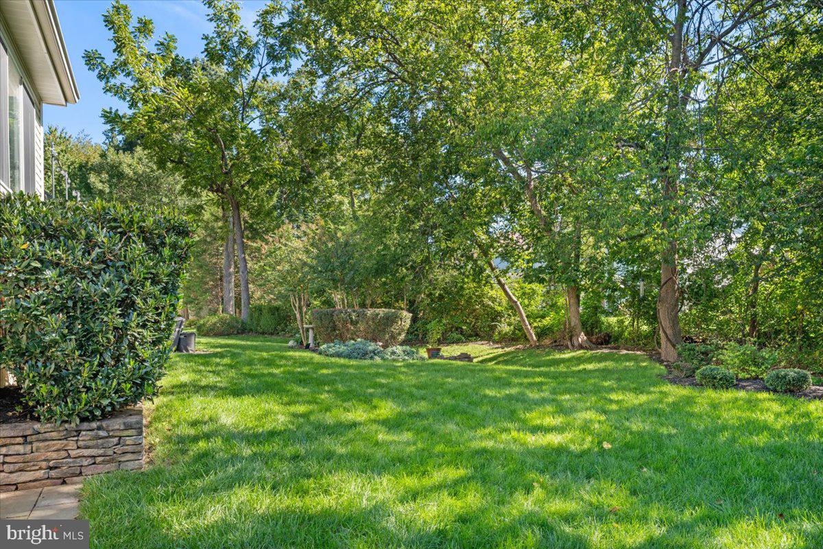13452 Lake Shore Dr Property Photo 41