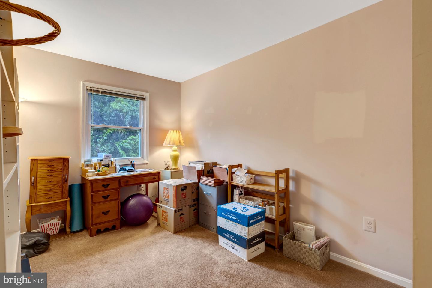 4523 Garbo Ct Property Photo 17