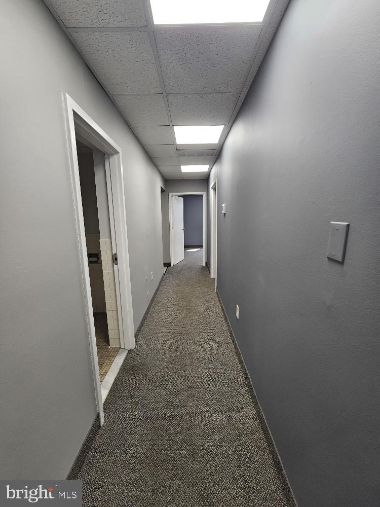 4306 Evergreen Ln #unit 103 Property Photo 4