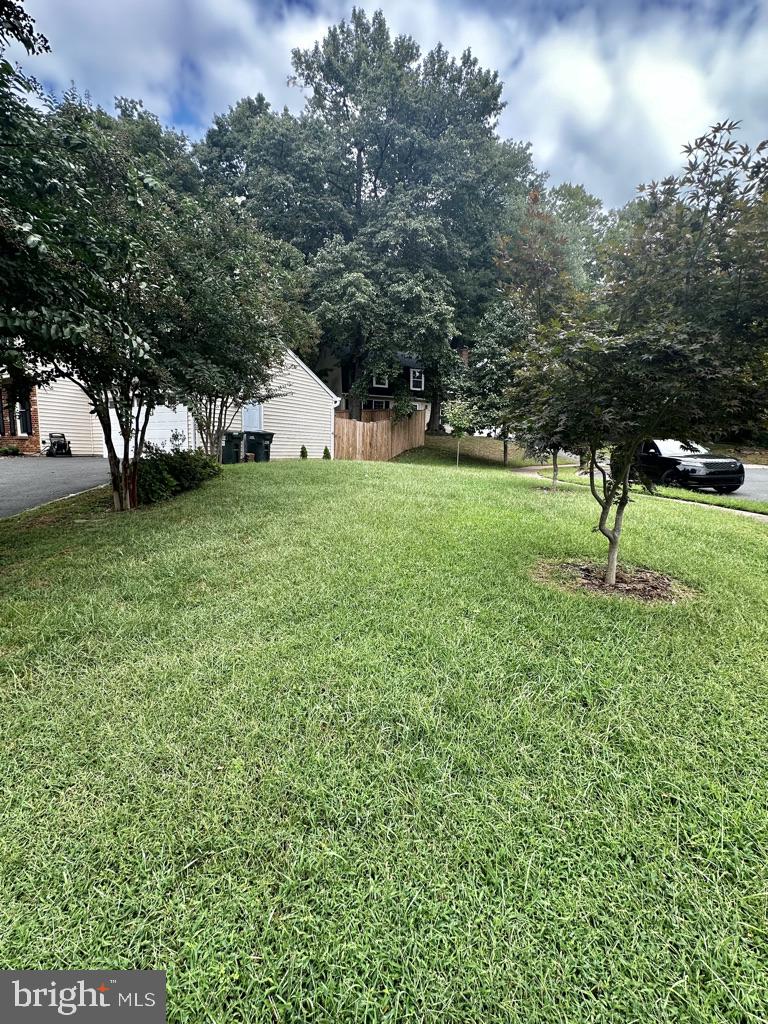 2281 Dosinia Ct Property Photo 3