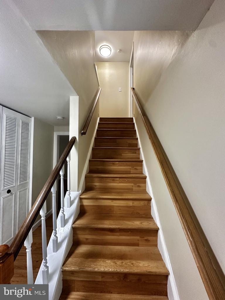 2281 Dosinia Ct Property Photo 4