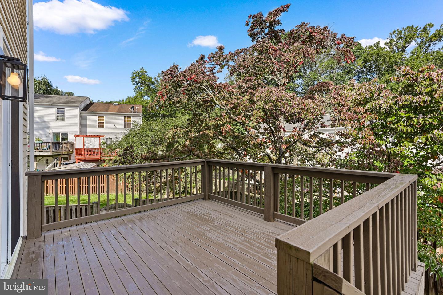 10072 Apple Wood Ct Property Photo 44