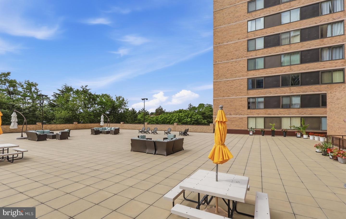 3713 S George Mason Dr #904w Property Photo 31