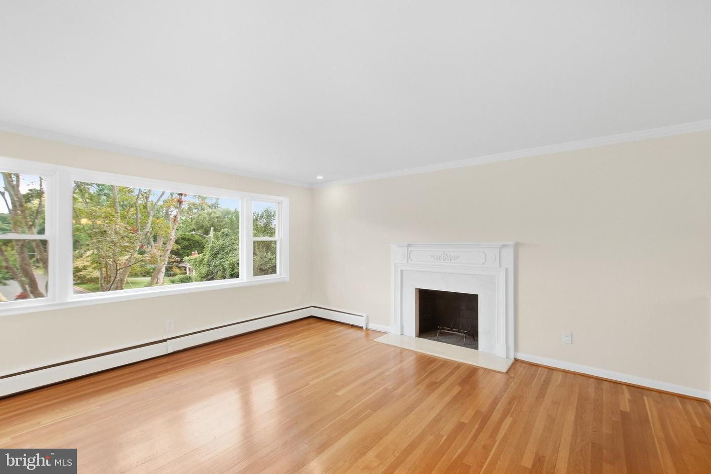 1036 Carper St Property Photo 5