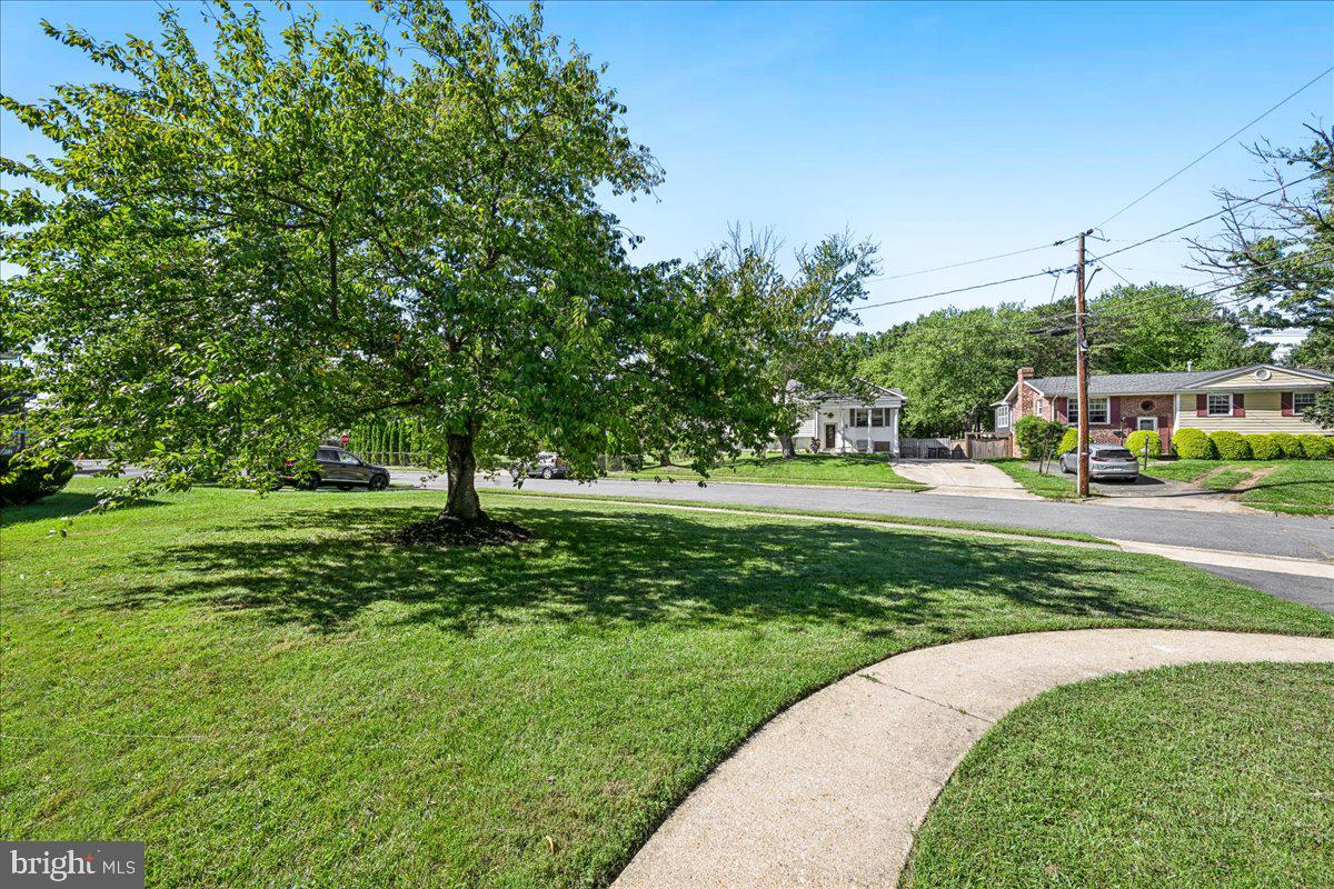 6717 Anthony St Property Photo 46
