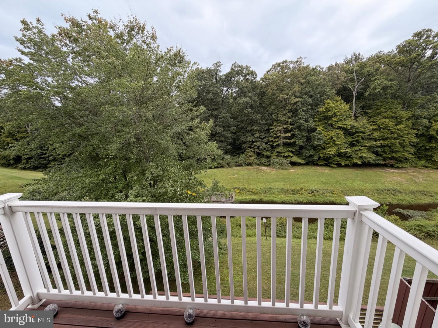 9258 Cardinal Forest Ln #302 Property Photo 4