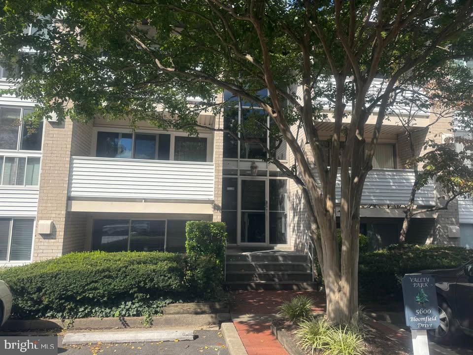 5600 BLOOMFIELD DR #203 Property Photo 1