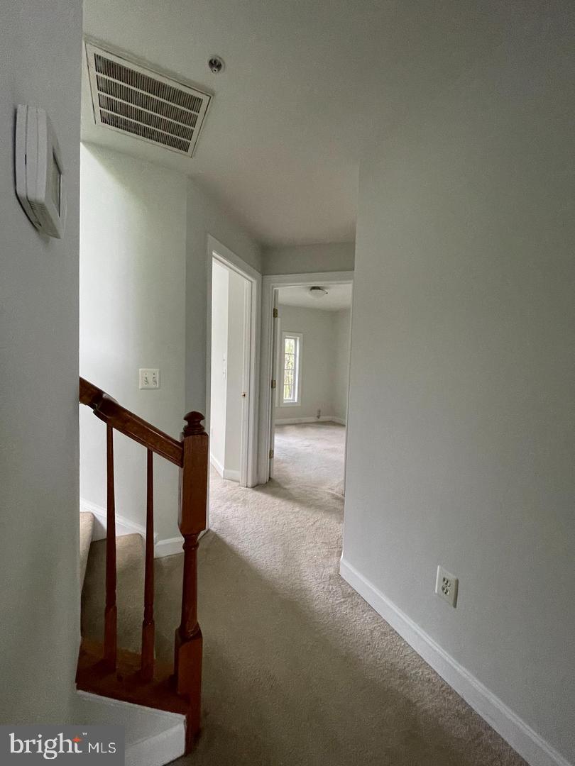 8141 Skelton Cir Property Photo 11