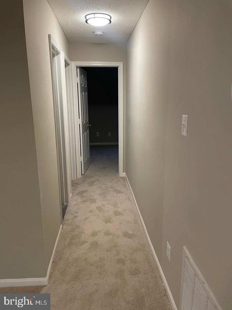 12108 Green Leaf Ct #101 Property Photo 22