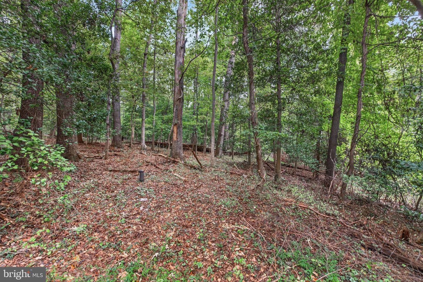 10708 Meadowood Dr Property Photo 6