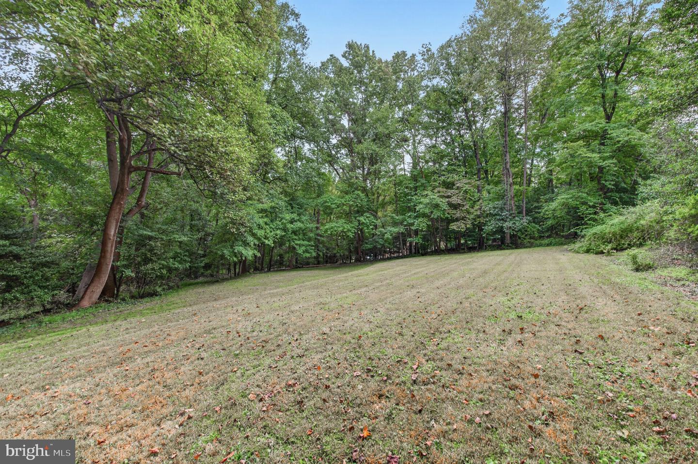 10708 Meadowood Dr Property Photo 3