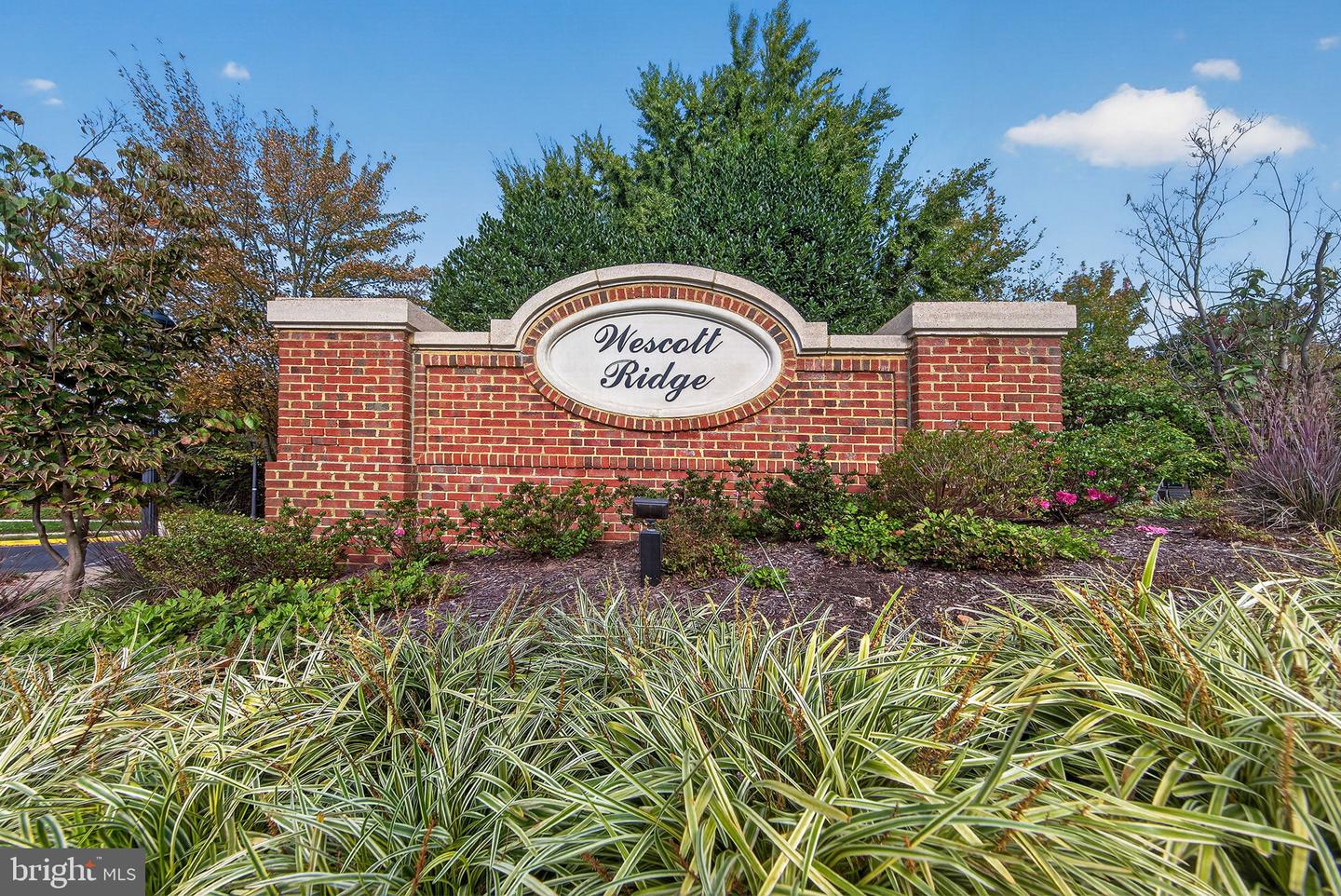 11565 Cavalier Landing Ct #101 Property Photo 22