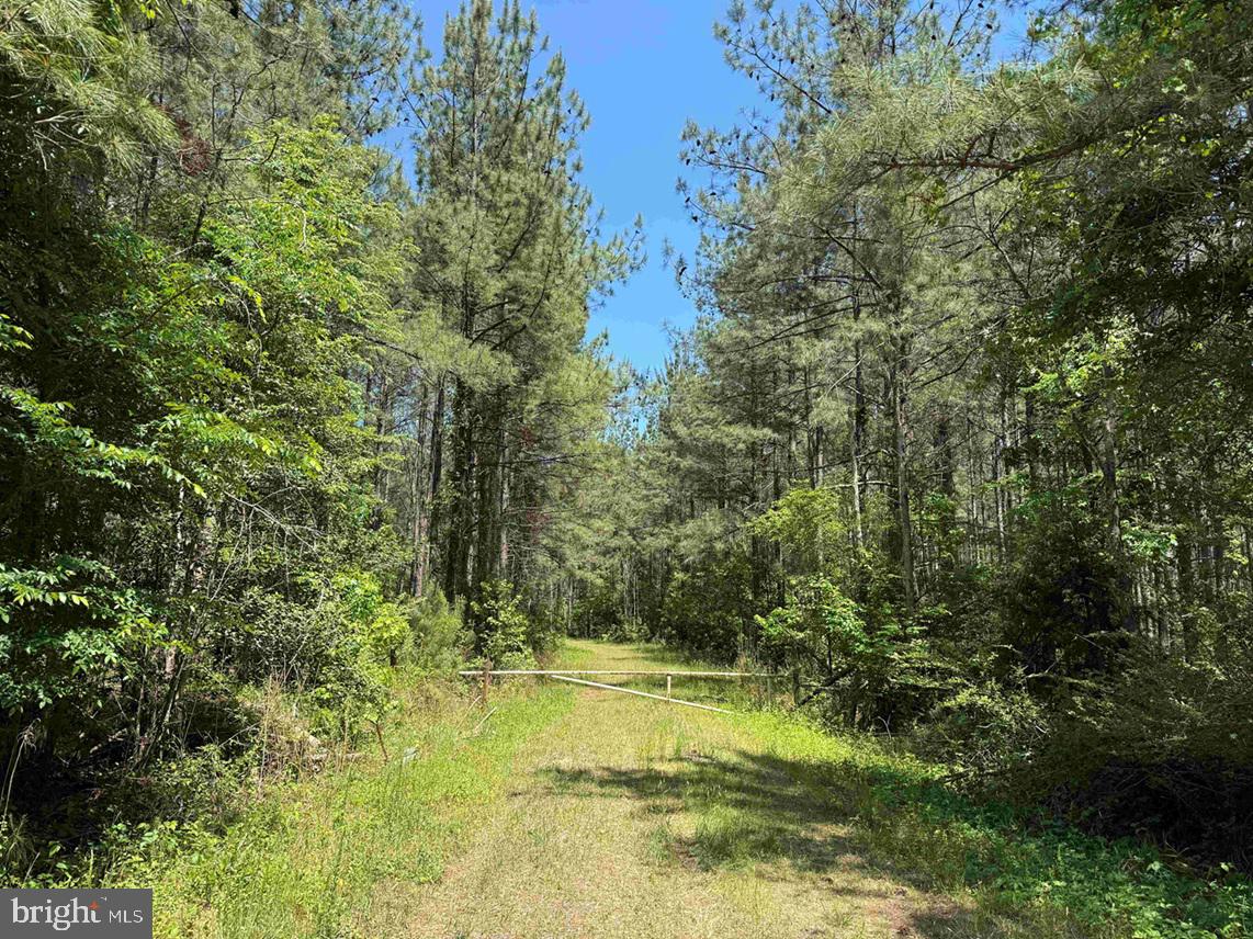 Brantley Moore Turnpike (tract Azalea Comp 17) Property Photo 1
