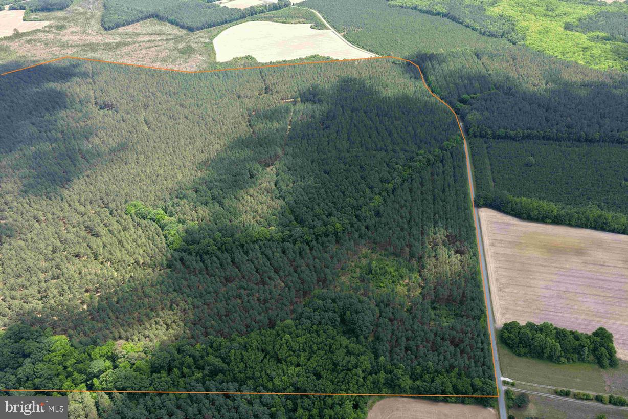 Brantley Moore Turnpike (tract Azalea Comp 17) Property Photo 3