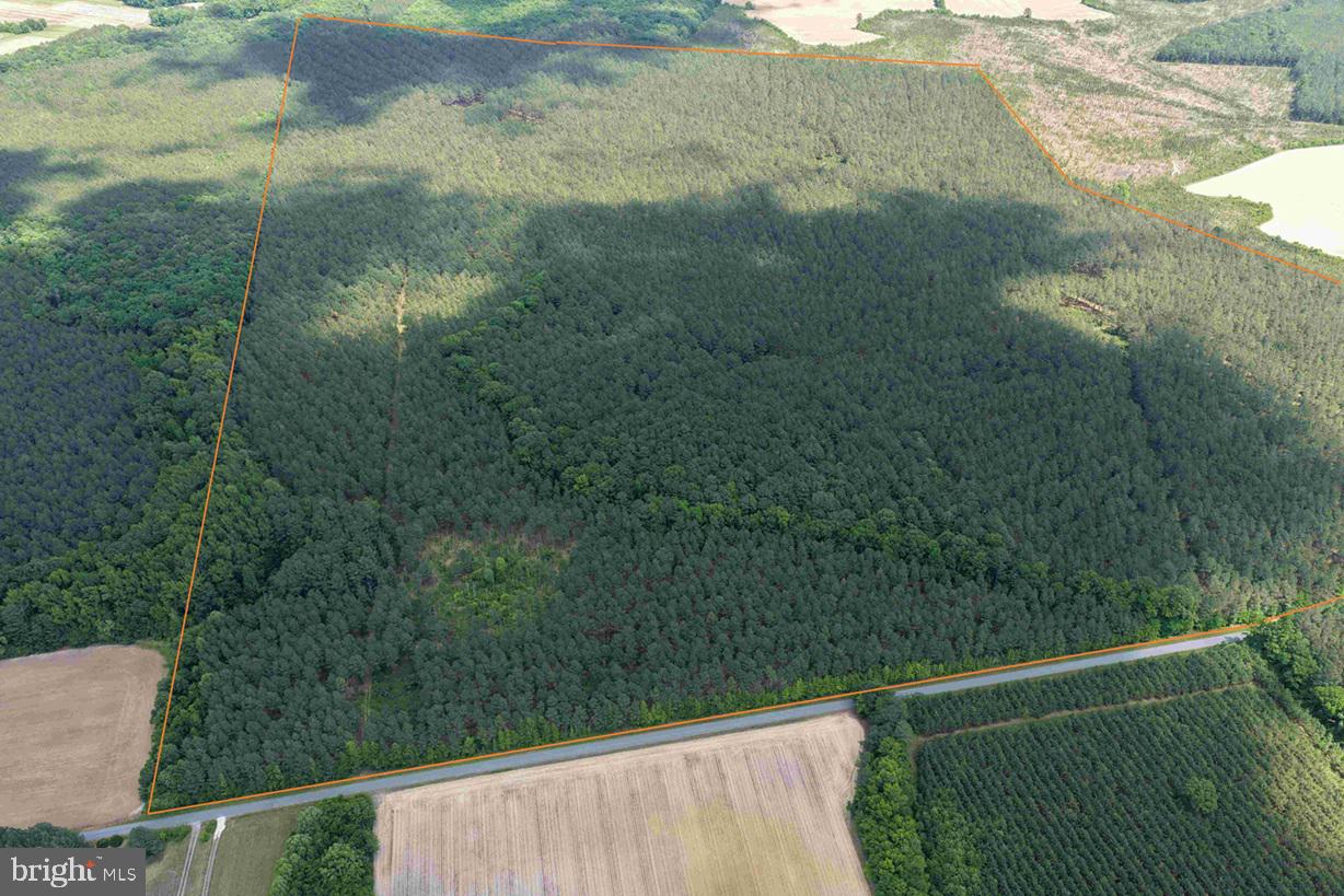 Brantley Moore Turnpike (tract Azalea Comp 17) Property Photo 4