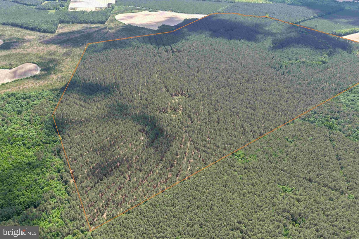 Brantley Moore Turnpike (tract Azalea Comp 17) Property Photo 5