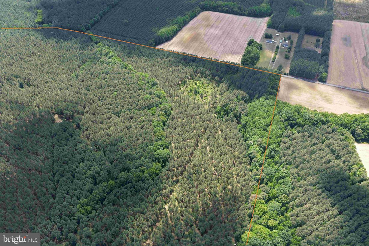 Brantley Moore Turnpike (tract Azalea Comp 17) Property Photo 7