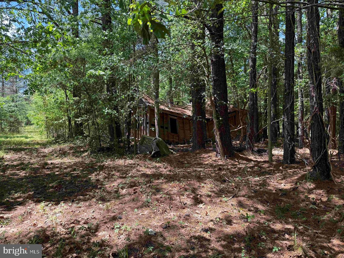 Brantley Moore Turnpike (tract Azalea Comp 17) Property Photo 13