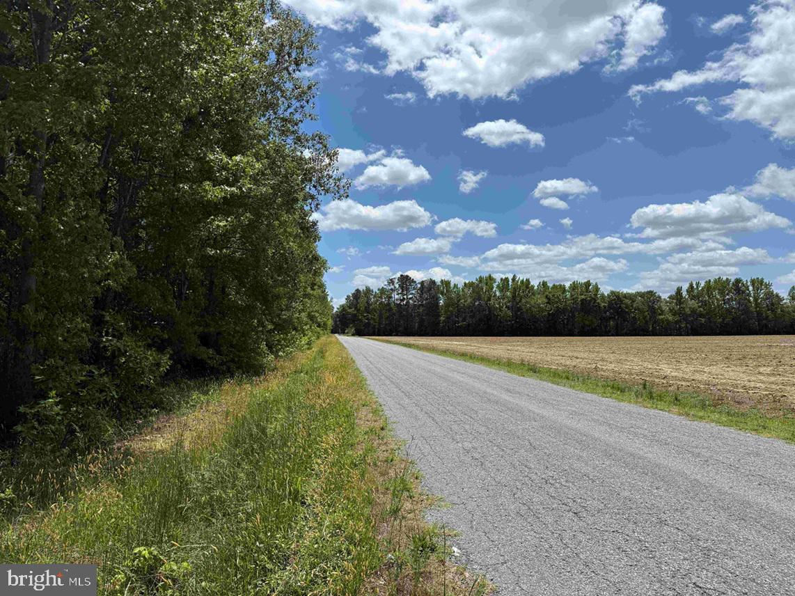 Brantley Moore Turnpike (tract Azalea Comp 17) Property Photo 16