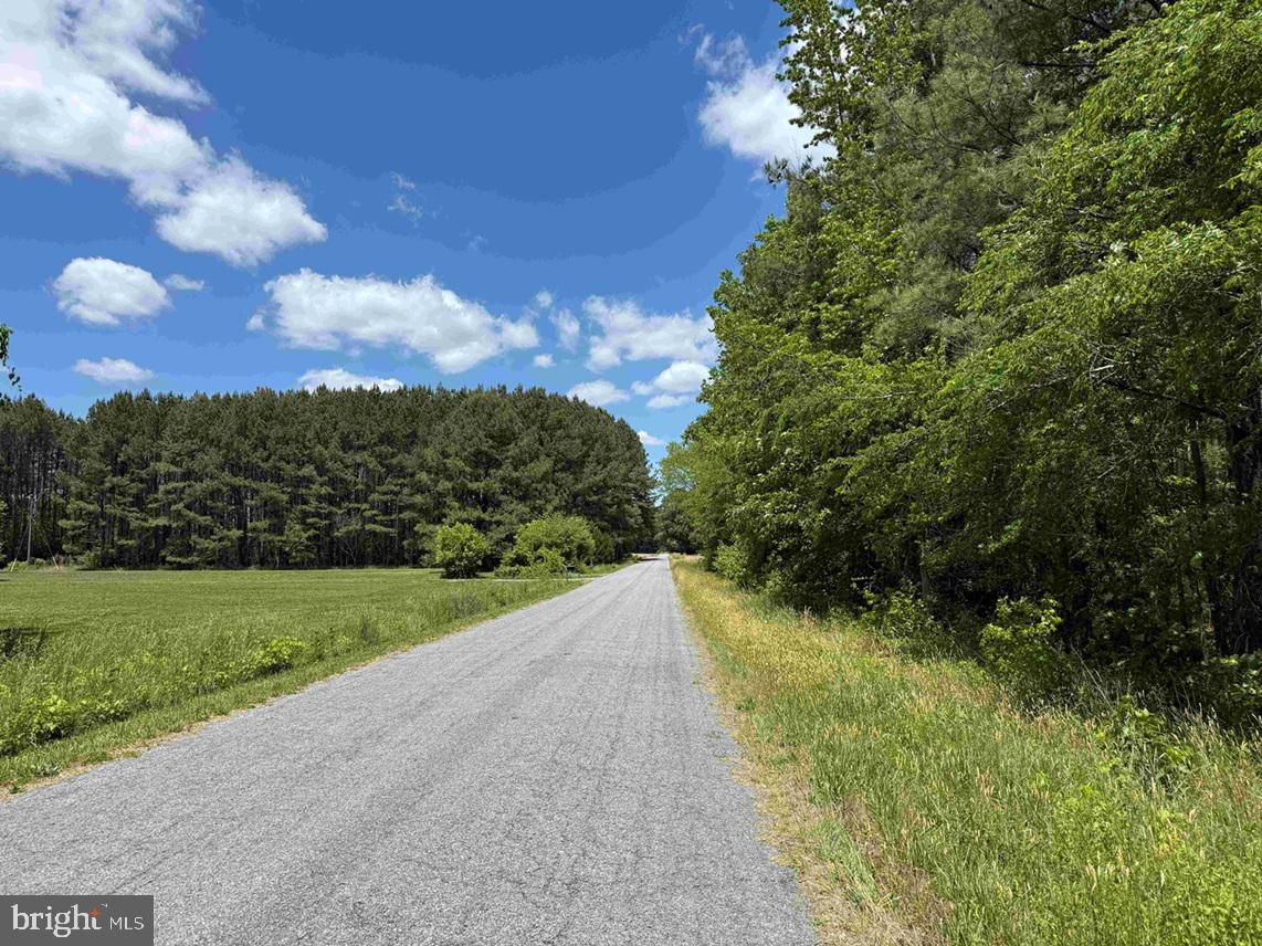 Brantley Moore Turnpike (tract Azalea Comp 17) Property Photo 17