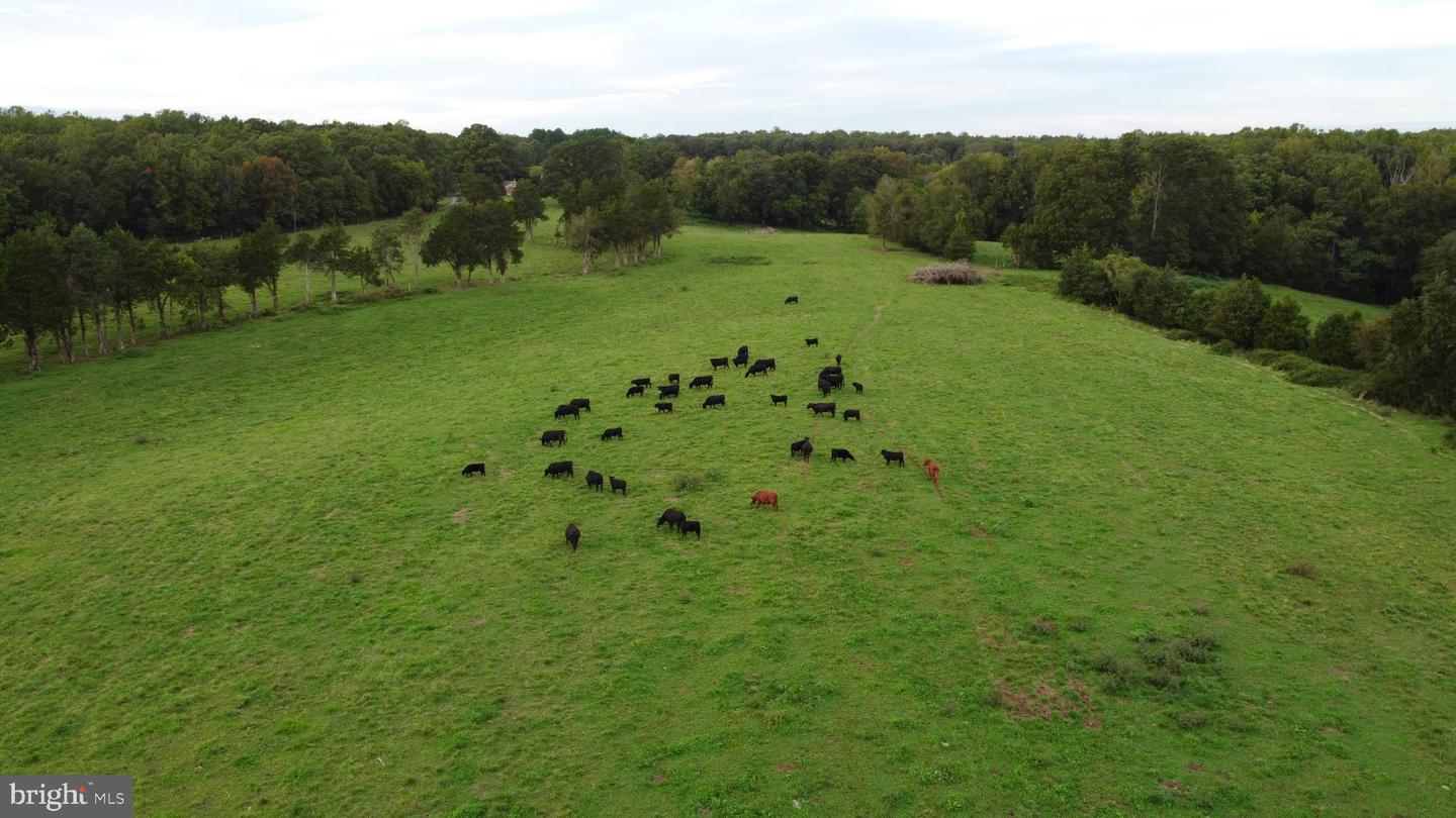 00 Perkinsville Rd #lot 8 Property Photo 2