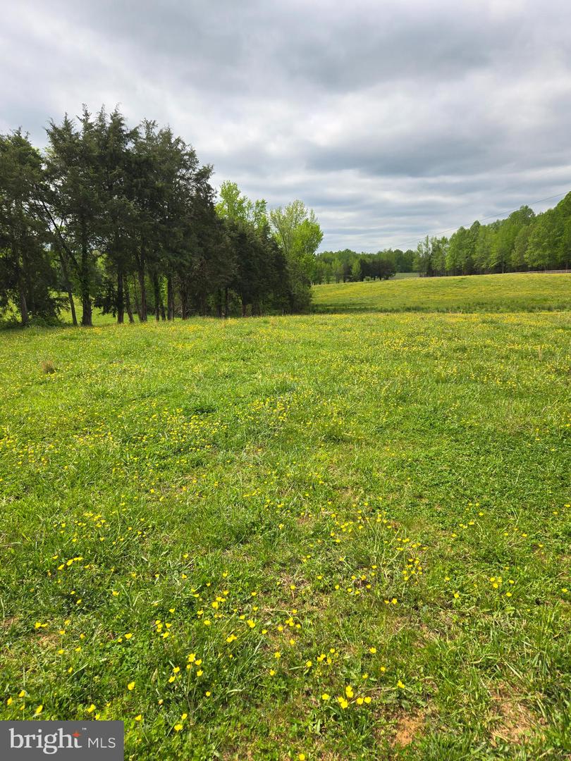 00 Perkinsville Rd #lot 8 Property Photo 6