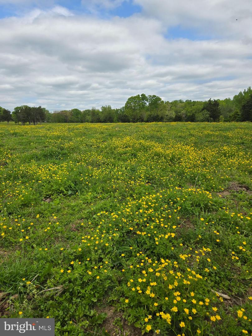 00 Perkinsville Rd #lot 8 Property Photo 8