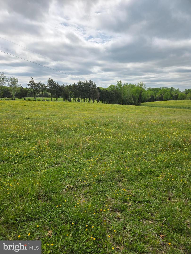 00 Perkinsville Rd #lot 8 Property Photo 16