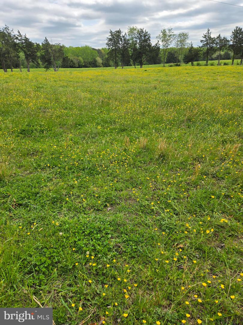 00 Perkinsville Rd #lot 8 Property Photo 17
