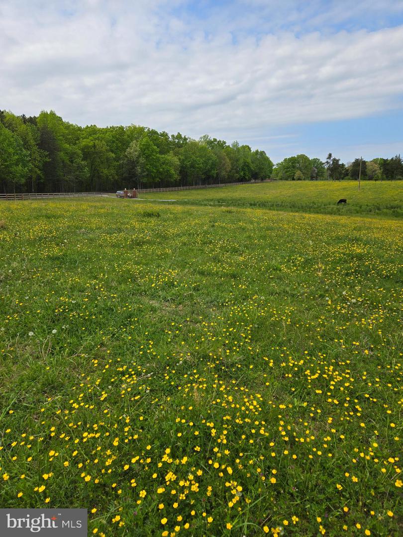00 Perkinsville Rd #lot 8 Property Photo 19