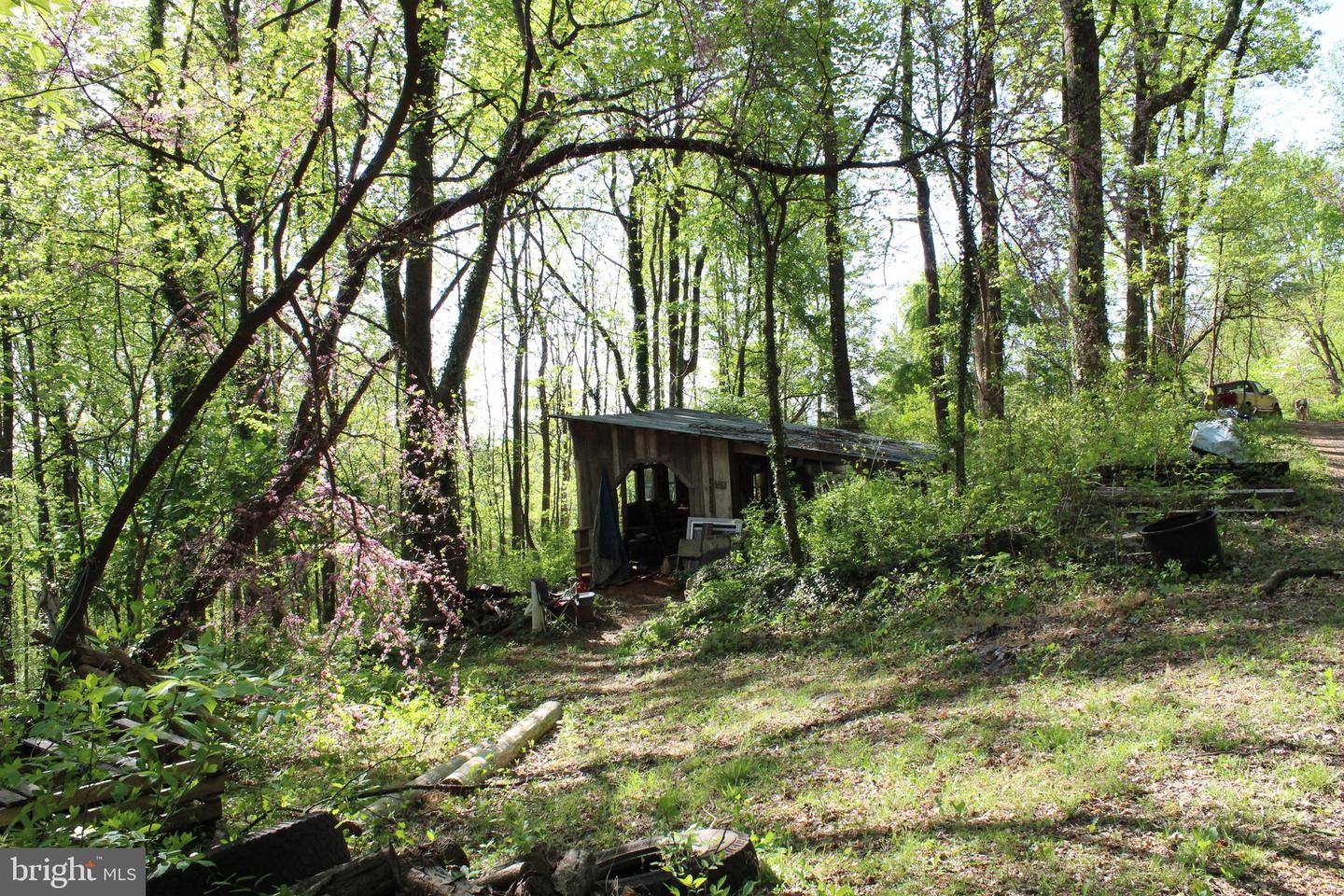 446 Spring Dr Property Photo 27