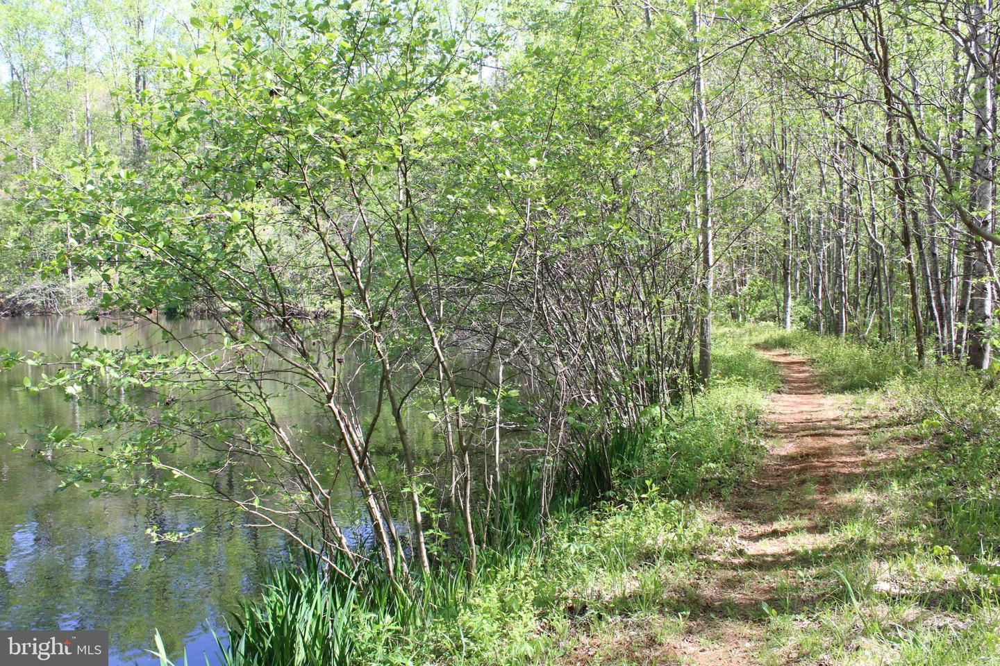 446 Spring Dr Property Photo 44