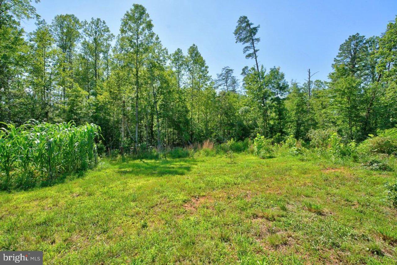 54 Springbranch Trl Property Photo 48