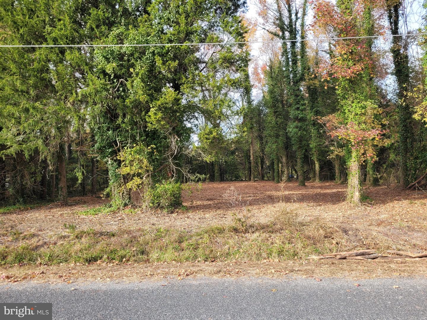 1 Mobjack Ln Property Photo 3
