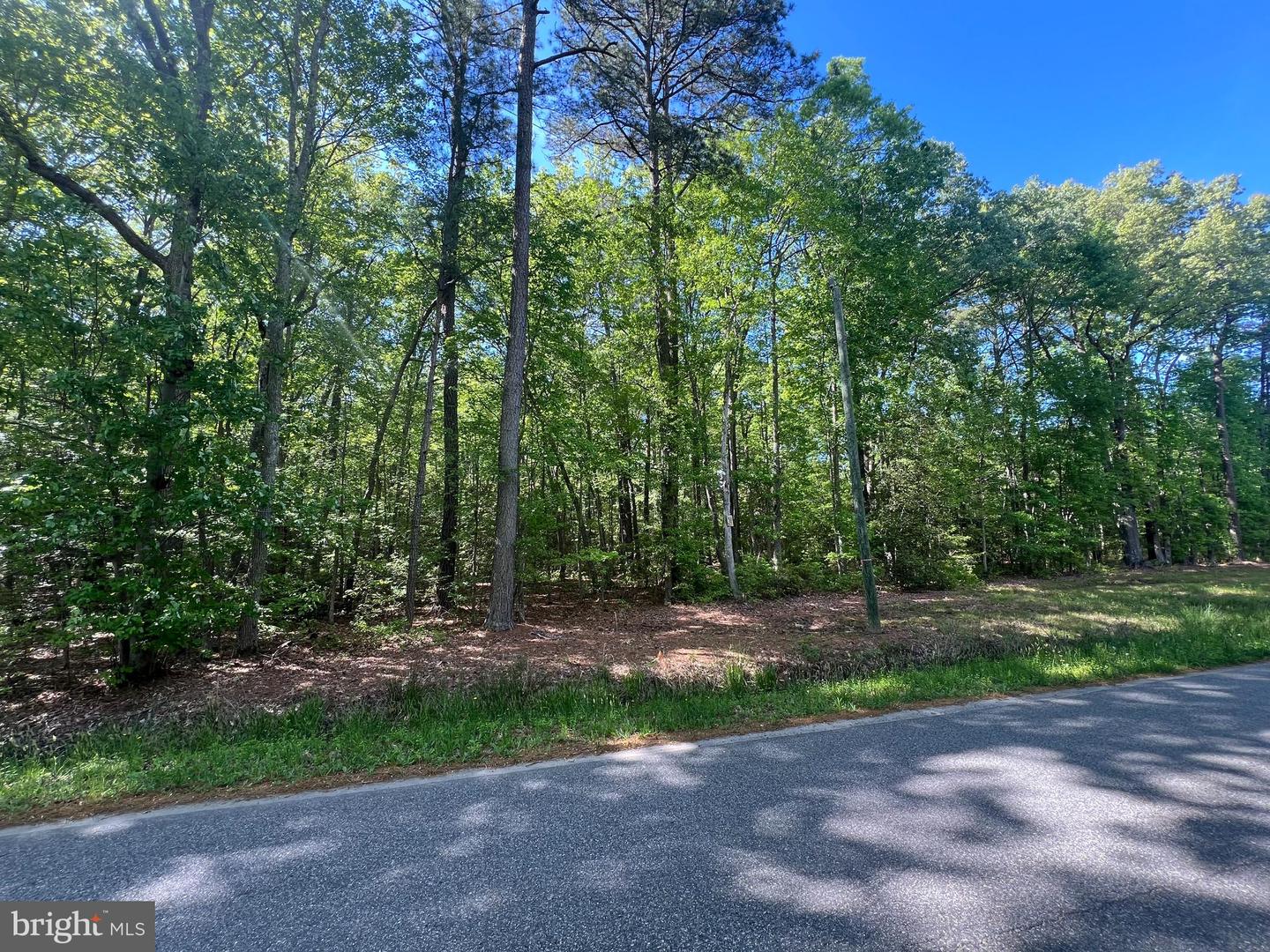 Lot 217 Ware Neck Rd Property Photo 1
