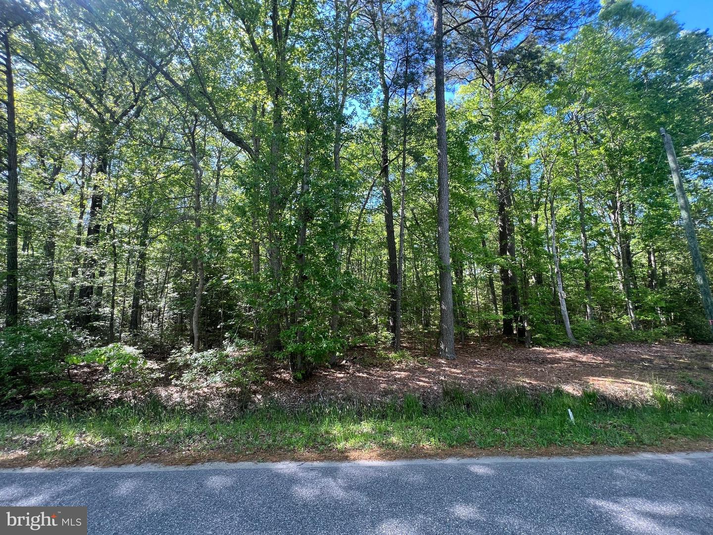Lot 218 Ware Neck Rd Property Photo 1