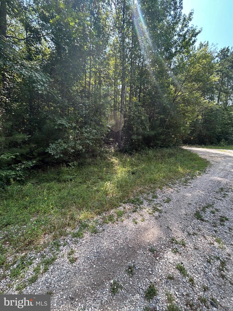 00 Runninghorse Ln Property Photo 2