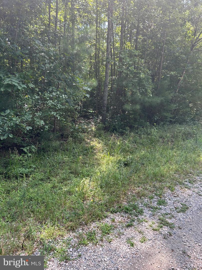 00 Runninghorse Ln Property Photo 3