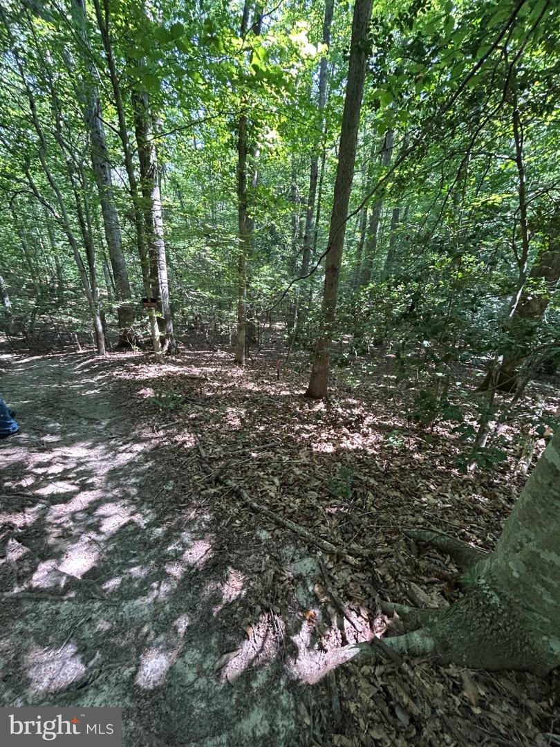 00 Runninghorse Ln Property Photo 7