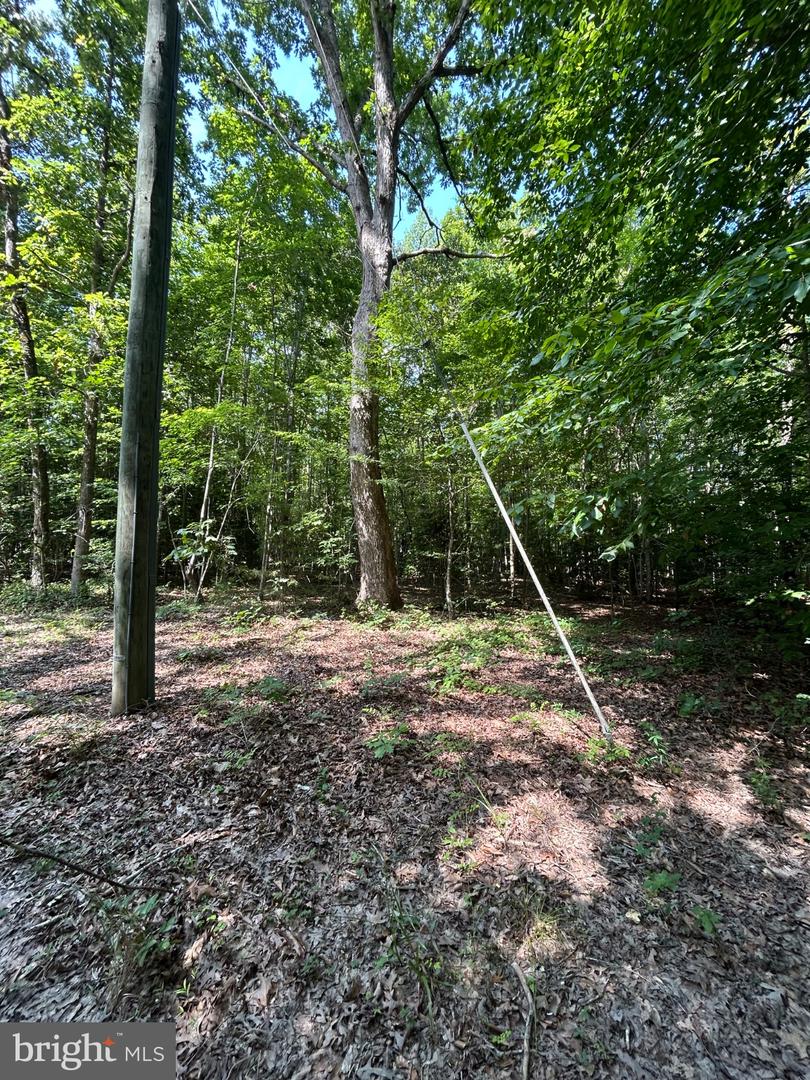 00 Runninghorse Ln Property Photo 9