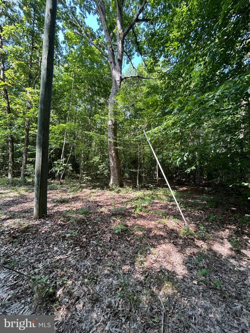00 Runninghorse Ln Property Photo 10