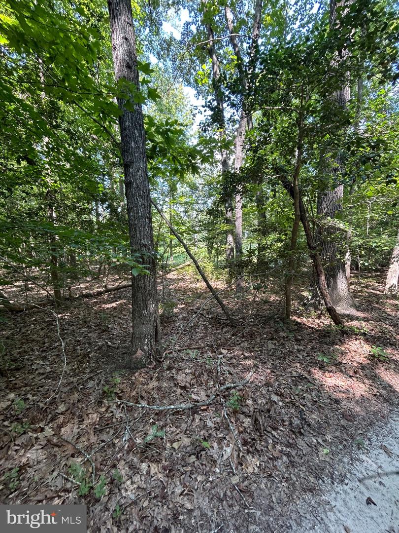 00 Runninghorse Ln Property Photo 11
