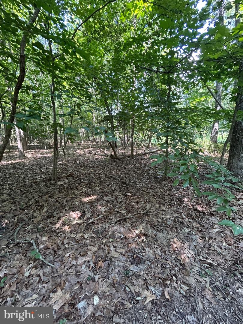 00 Runninghorse Ln Property Photo 12
