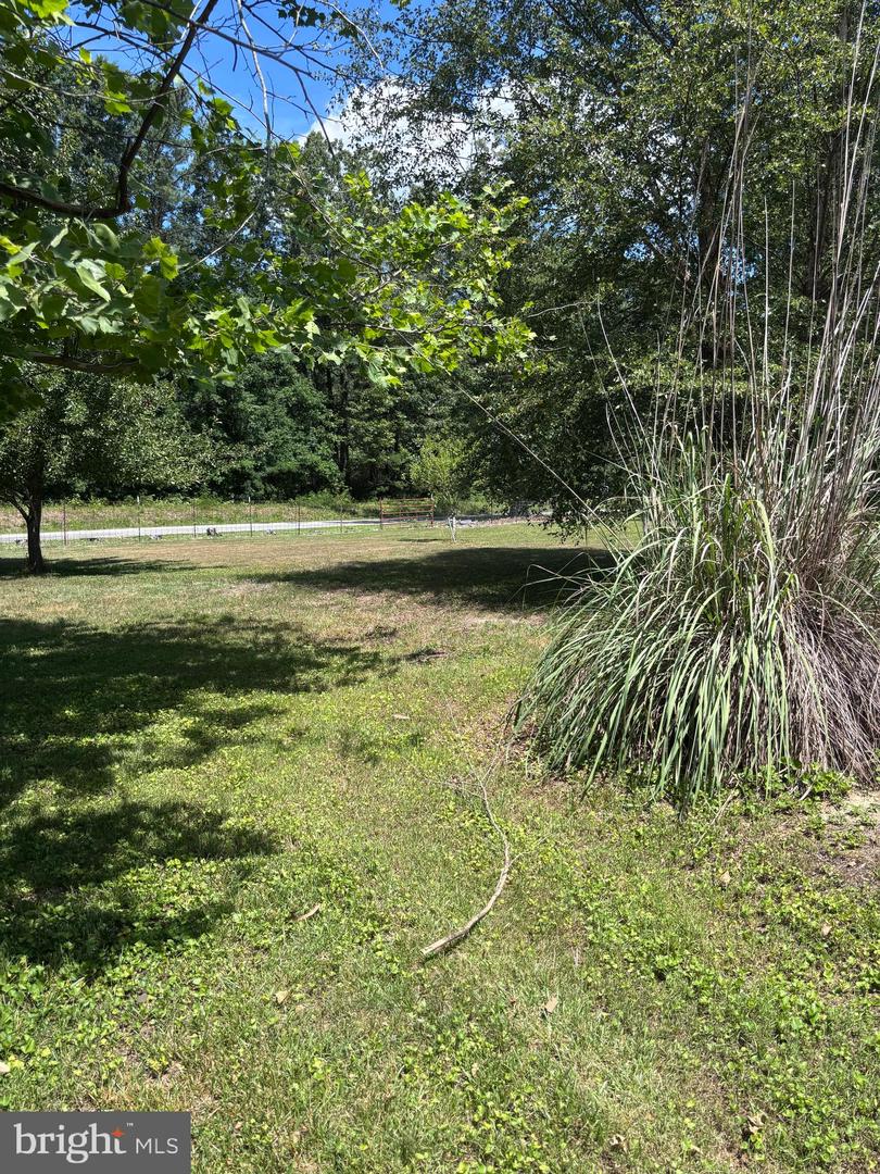 15358 Binns Rd Property Photo 13