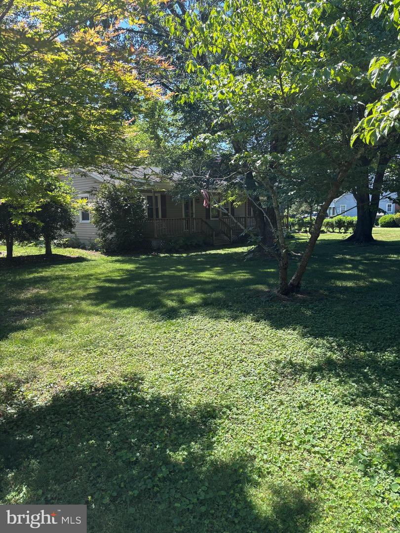 15358 Binns Rd Property Photo 14