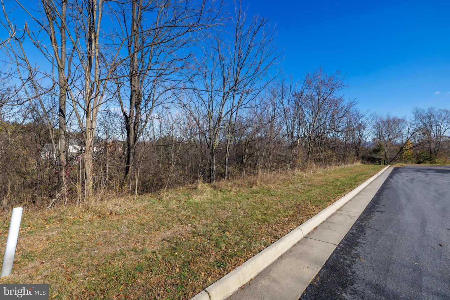 2132 Willow Hill Dr Property Photo 4